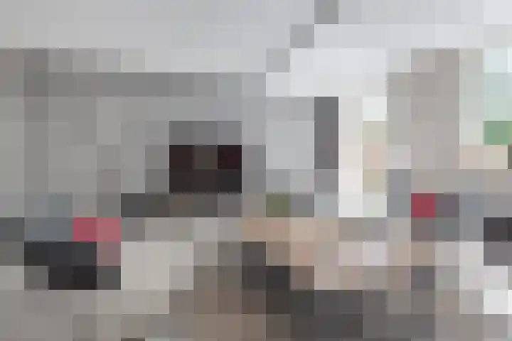Hoge Es 3 Aalten thumbnail 10