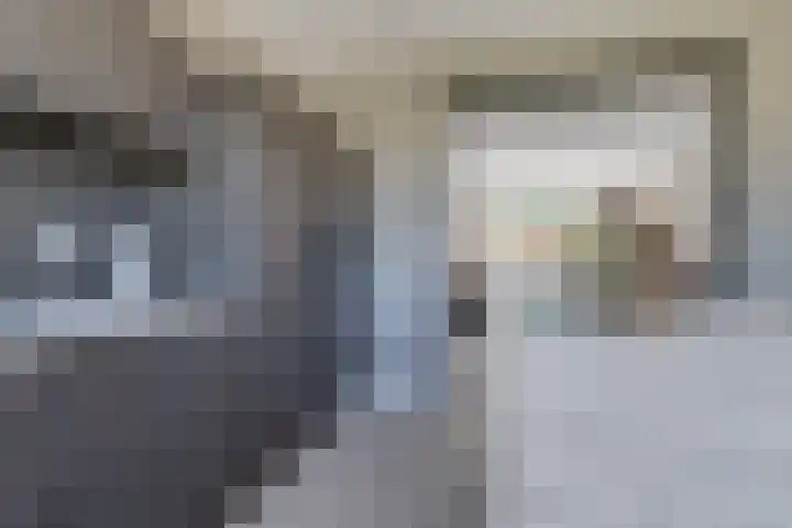 Hoge Es 3 Aalten thumbnail 18