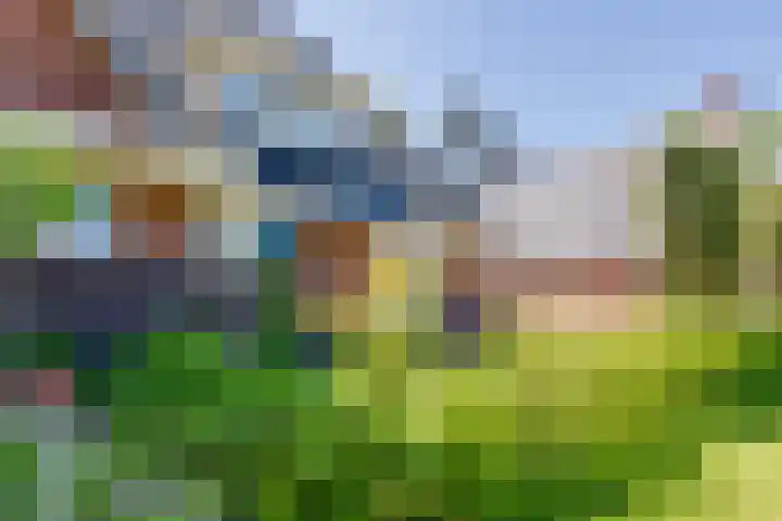 Hoge Es 3 Aalten thumbnail 5