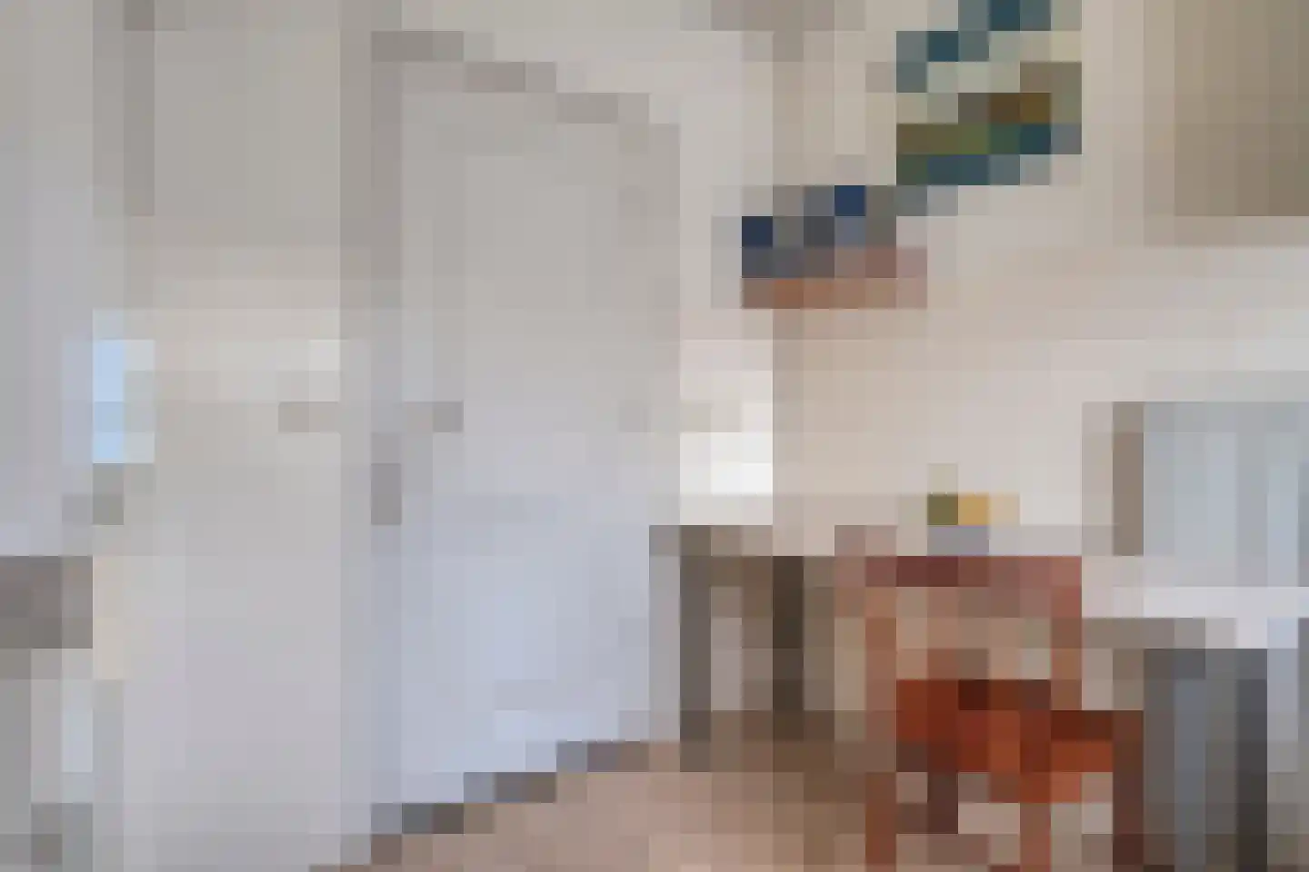 Hoge Esweg 36 Nijverdal thumbnail 15