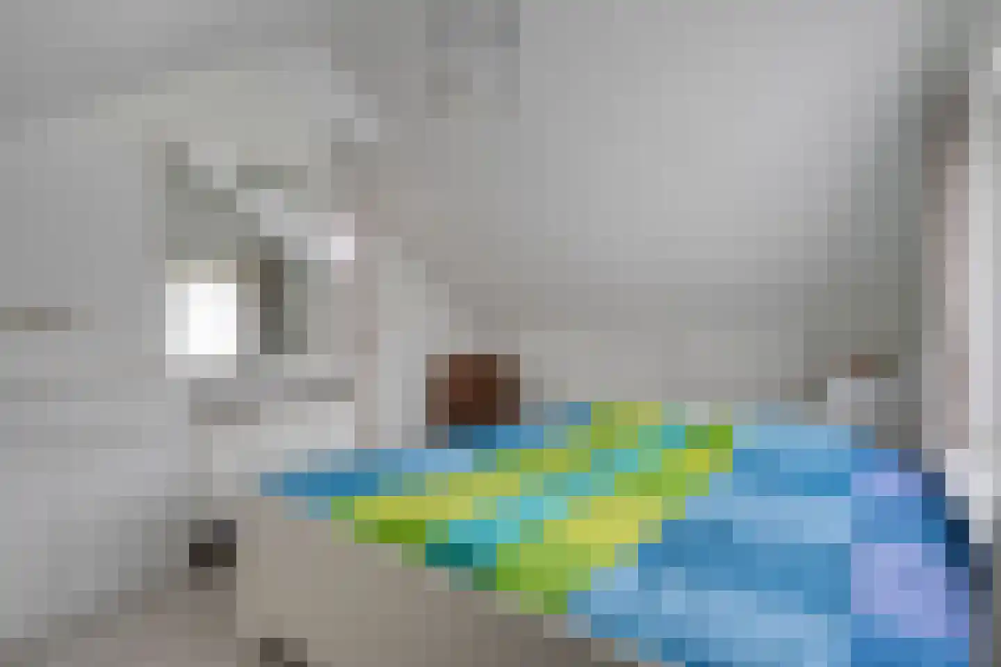 Hoge Esweg 36 Nijverdal thumbnail 17