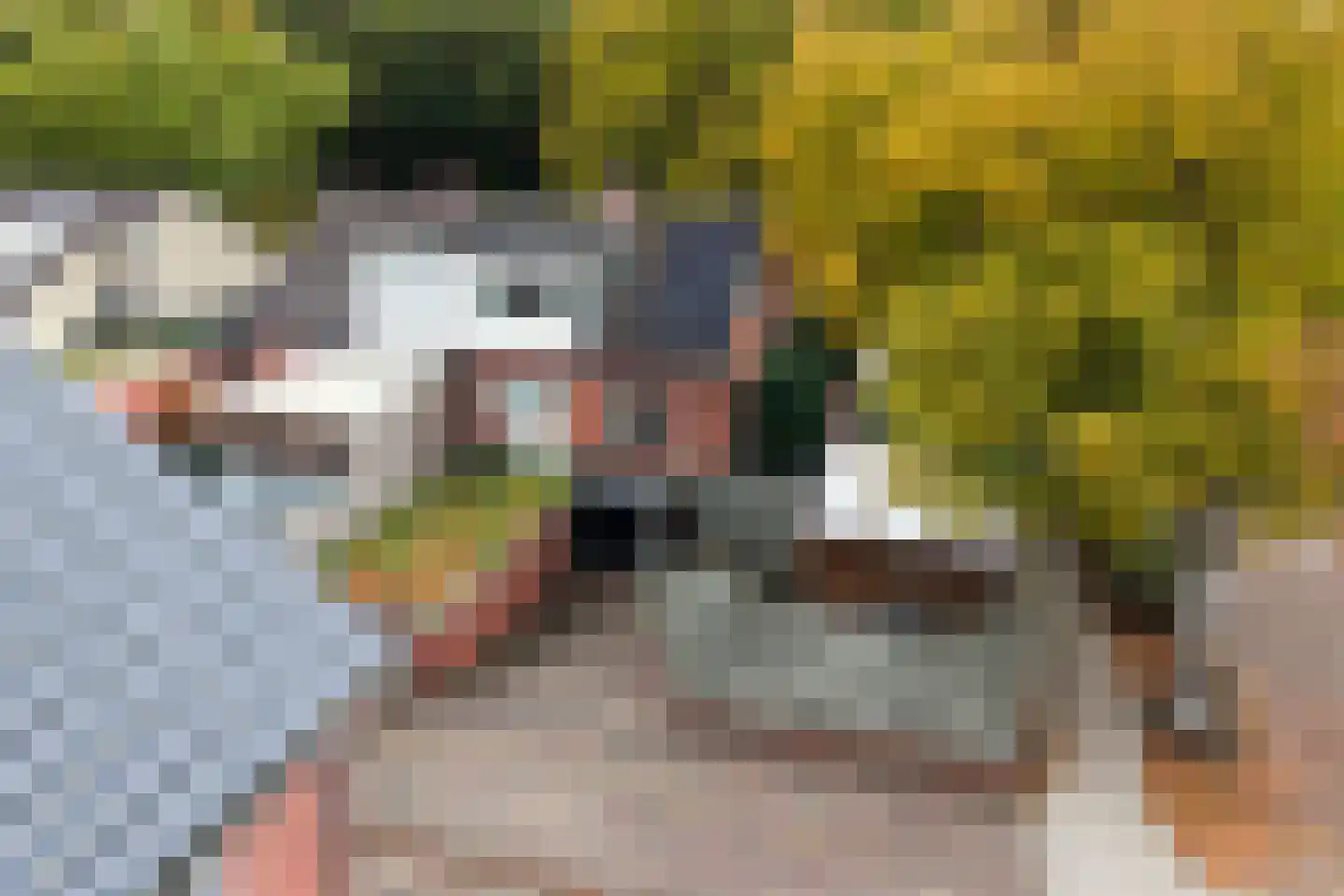 Hoge Esweg 36 Nijverdal thumbnail 22