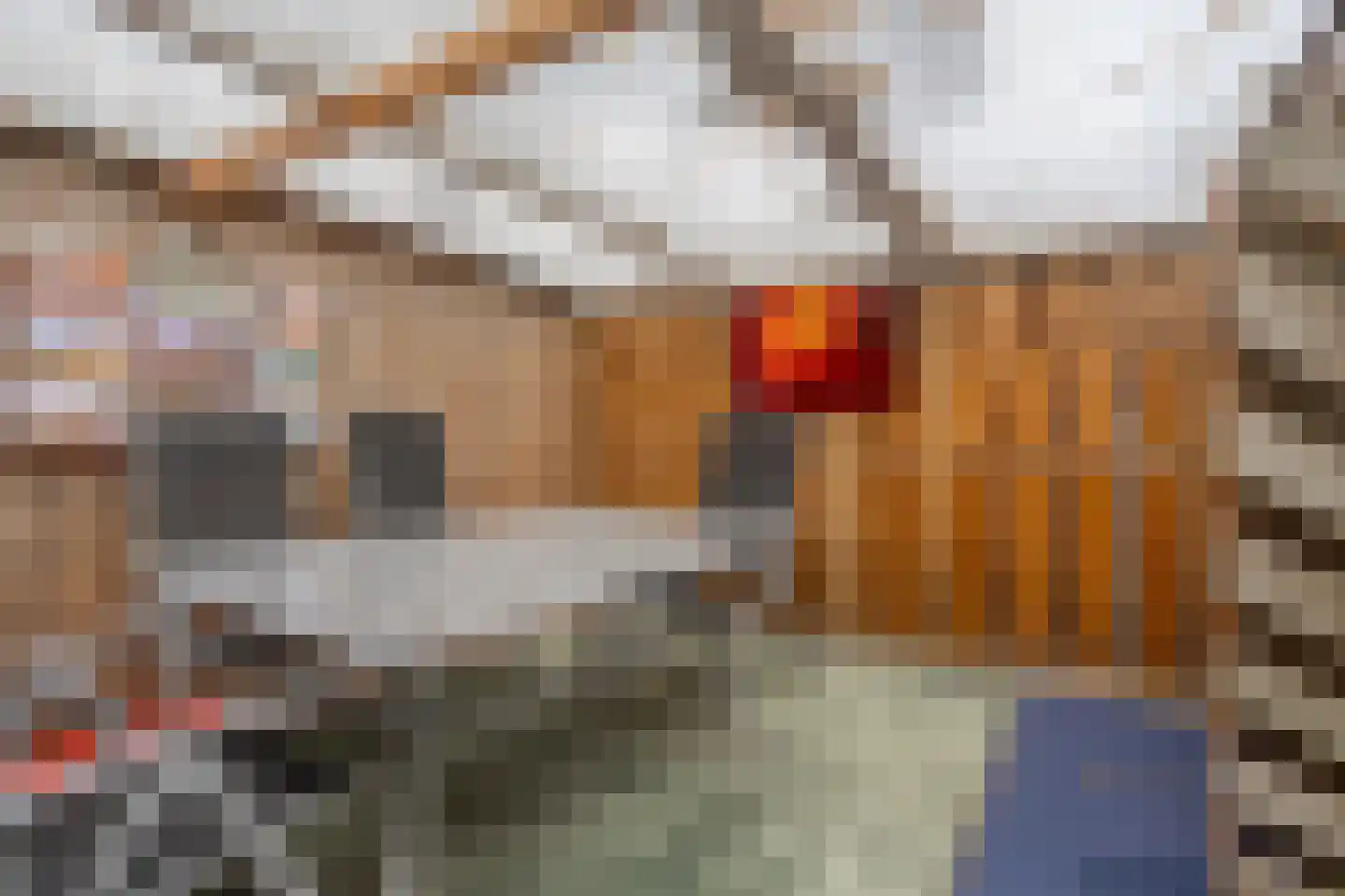 Hoge Esweg 36 Nijverdal thumbnail 28