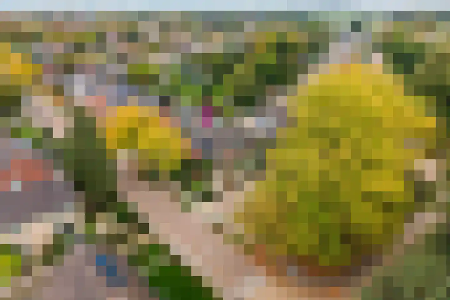 Hoge Esweg 36 Nijverdal thumbnail 31