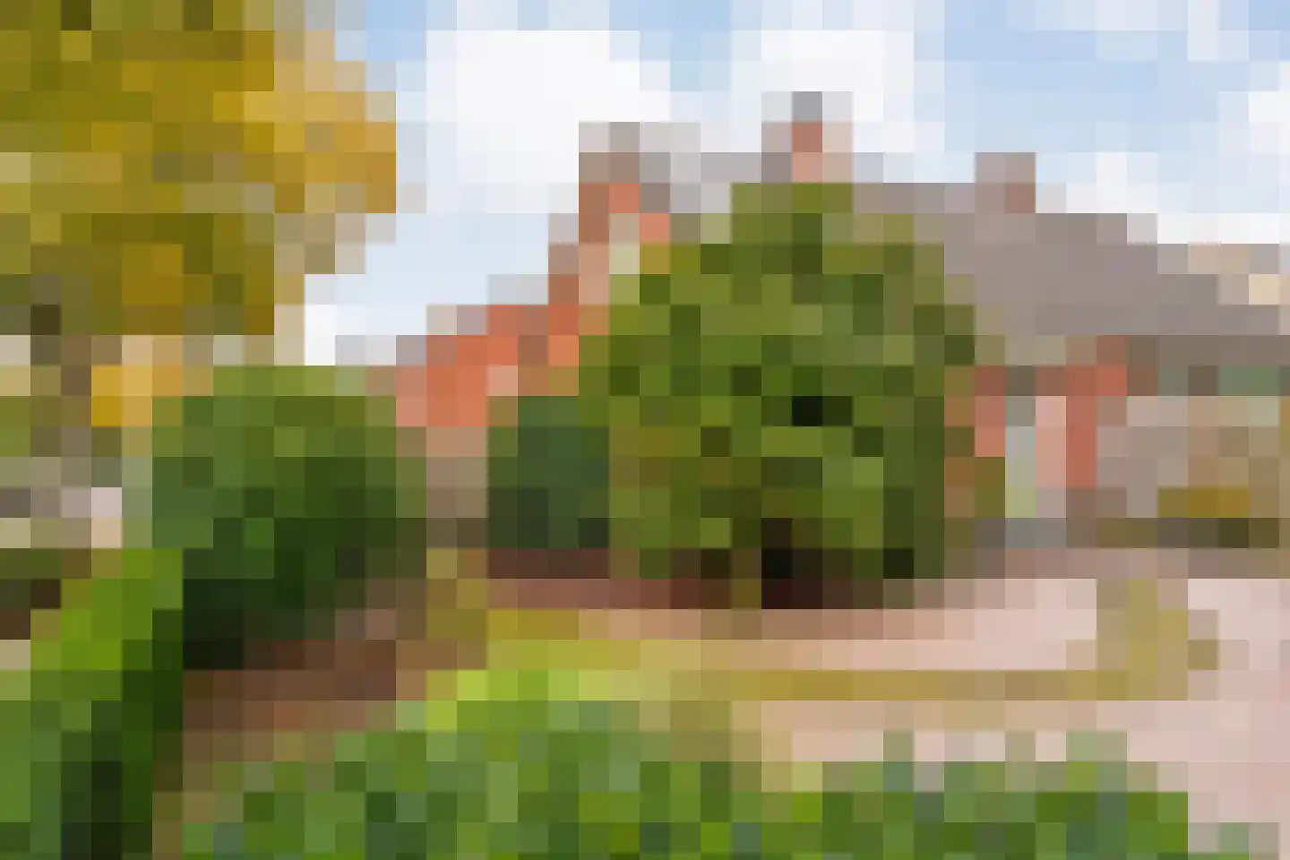 Hoge Esweg 36 Nijverdal thumbnail 34