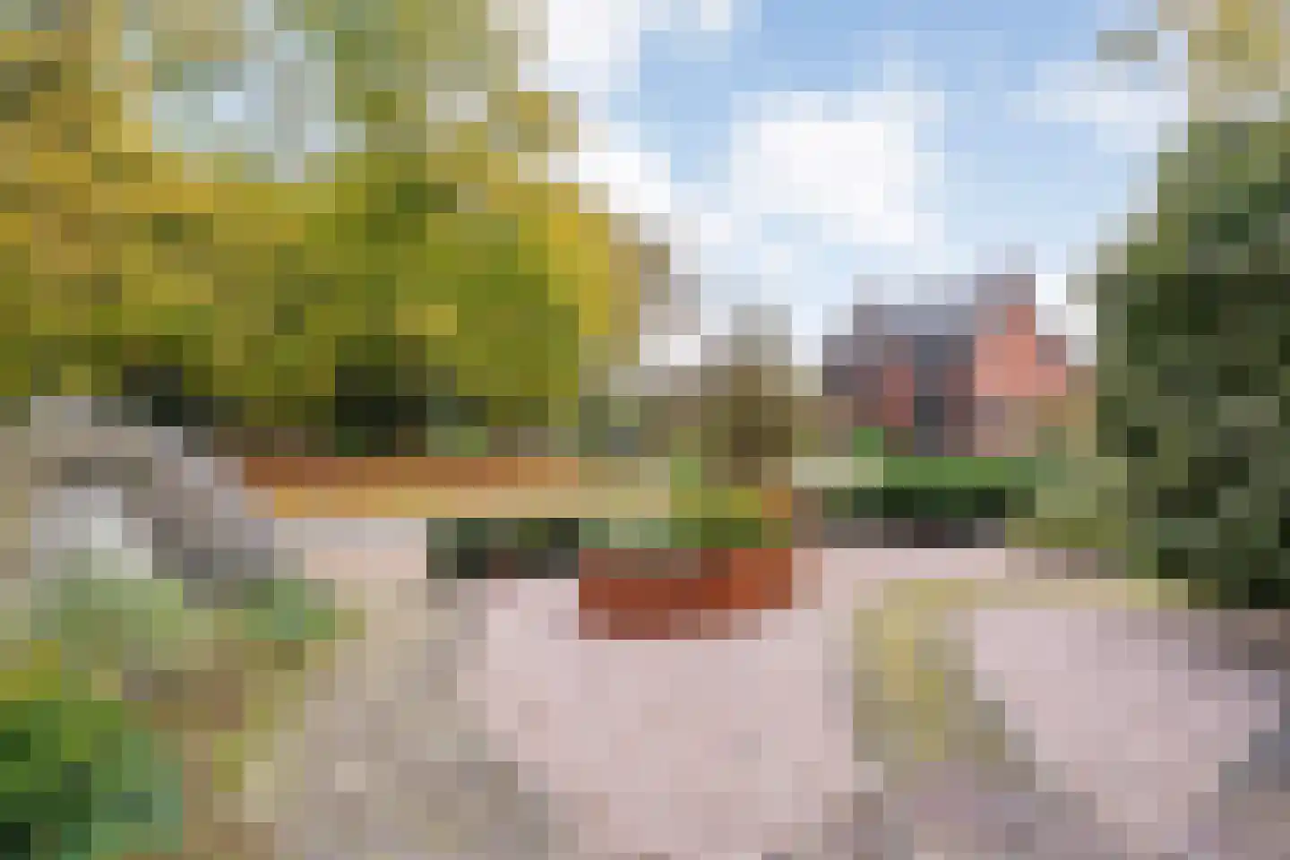 Hoge Esweg 36 Nijverdal thumbnail 39
