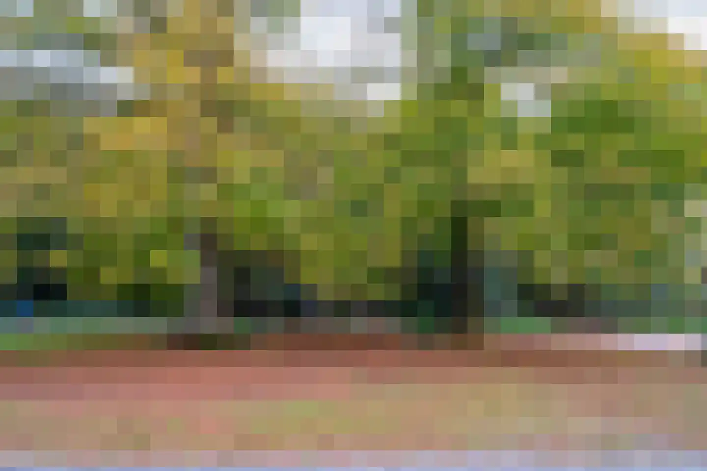 Hoge Esweg 36 Nijverdal thumbnail 40