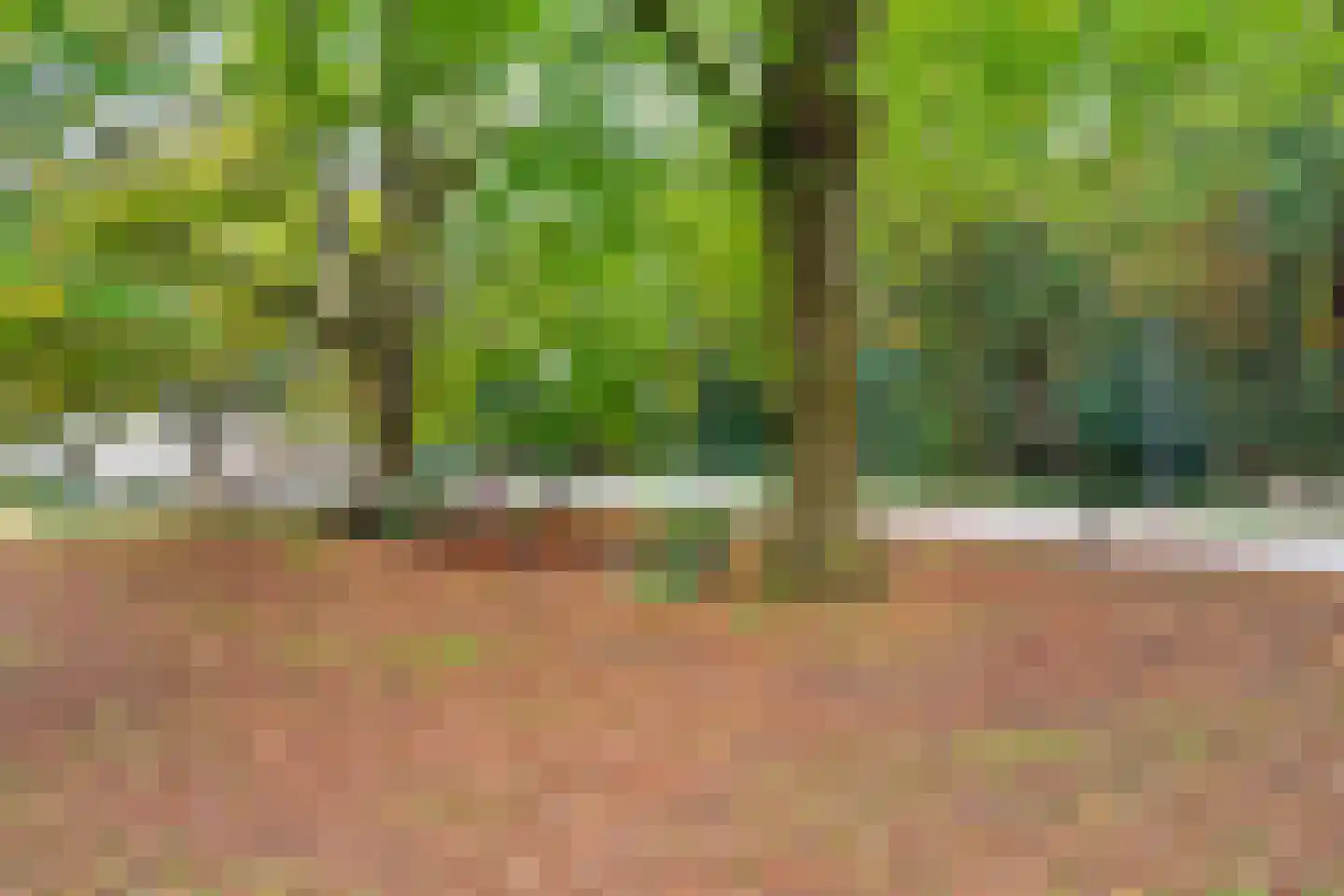 Hoge Esweg 36 Nijverdal thumbnail 41