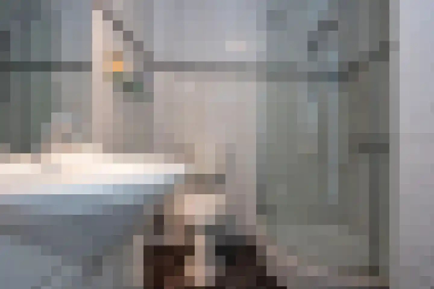 Hoge Esweg 48 Nijverdal thumbnail 13