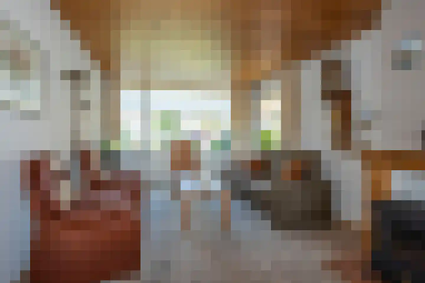 Hoge Esweg 48 Nijverdal thumbnail 7