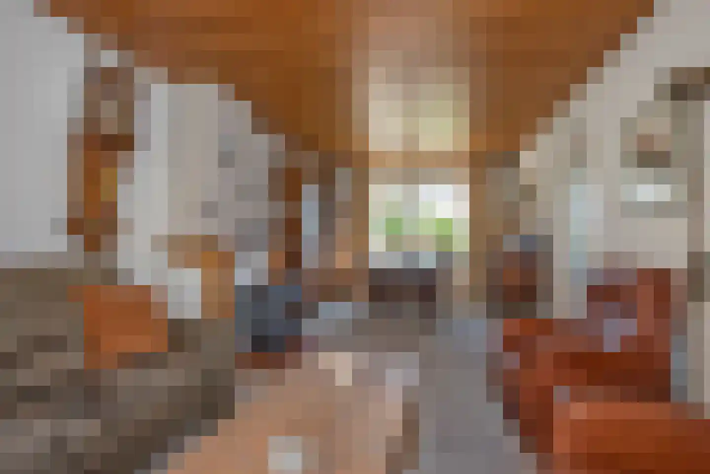 Hoge Esweg 48 Nijverdal thumbnail 8