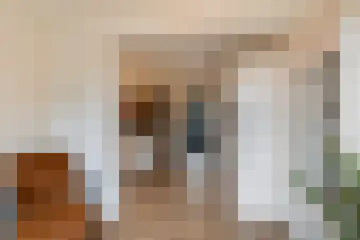 Hoge Geest 47 Naaldwijk thumbnail 10