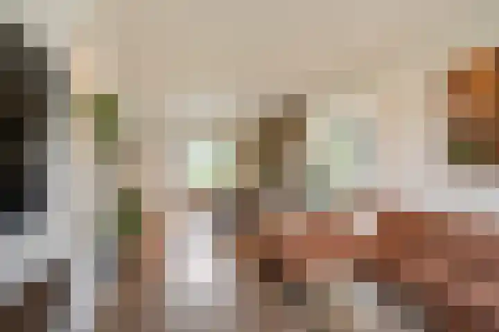 Hoge Geest 47 Naaldwijk thumbnail 13