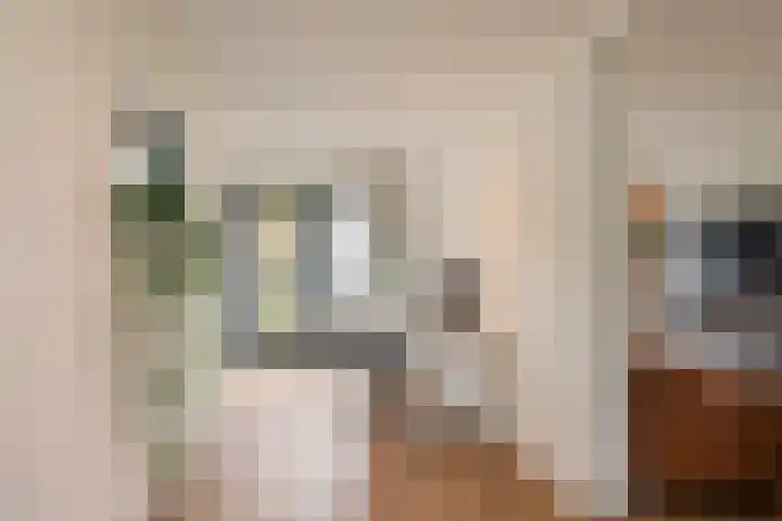 Hoge Geest 47 Naaldwijk thumbnail 18