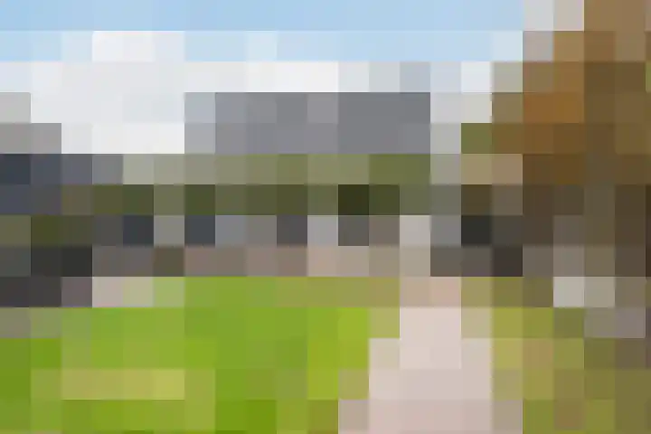 Hoge Geest 47 Naaldwijk foto 2