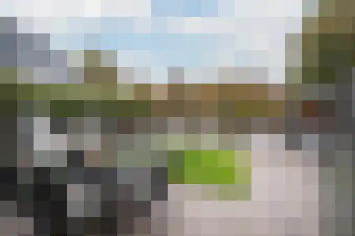Hoge Geest 47 Naaldwijk thumbnail 20