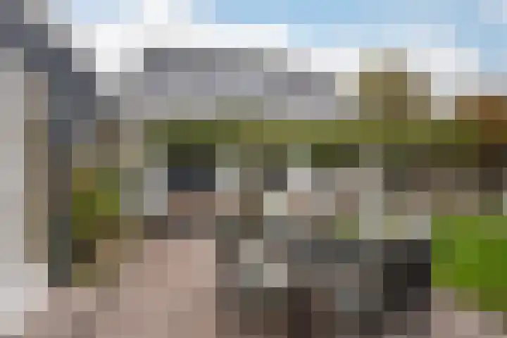 Hoge Geest 47 Naaldwijk thumbnail 21