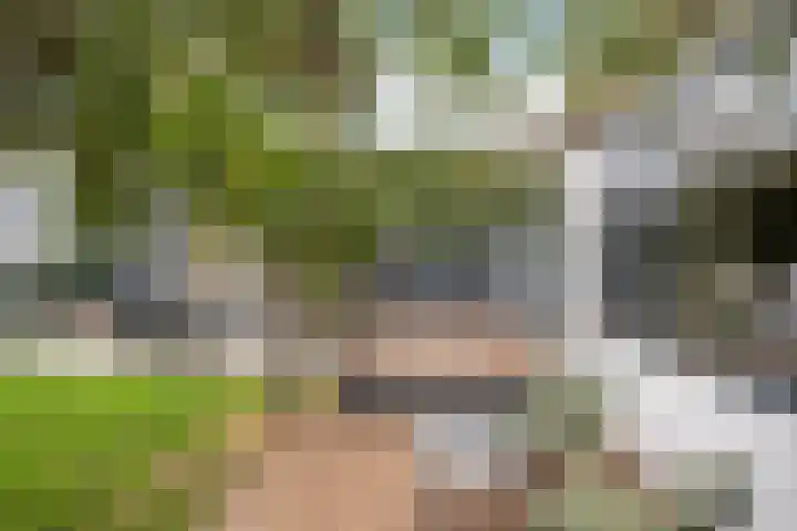Hoge Geest 47 Naaldwijk thumbnail 22