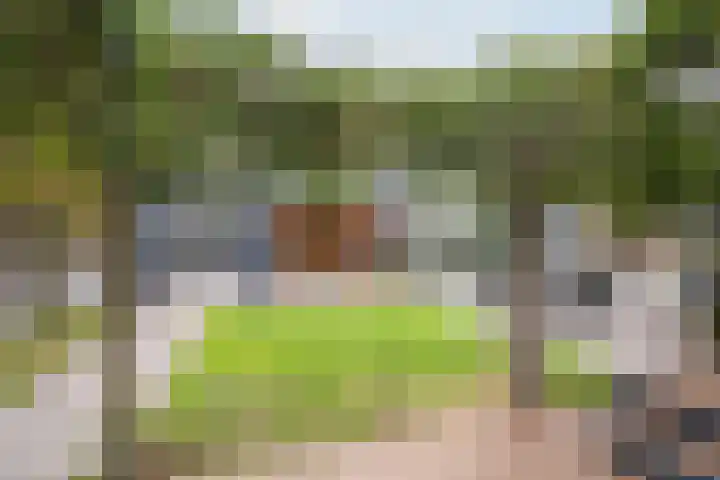Hoge Geest 47 Naaldwijk thumbnail 23