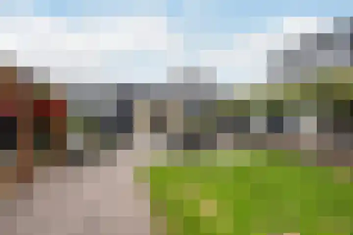 Hoge Geest 47 Naaldwijk thumbnail 27