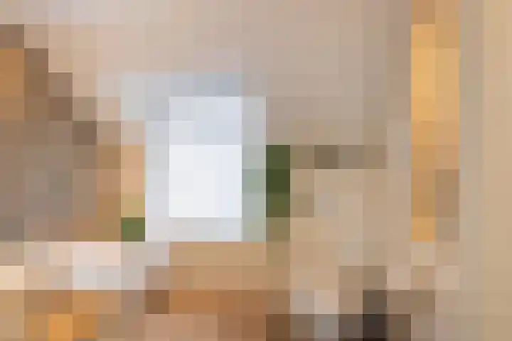 Hoge Geest 47 Naaldwijk thumbnail 37