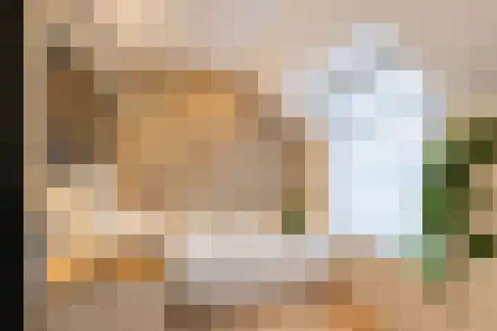 Hoge Geest 47 Naaldwijk thumbnail 38
