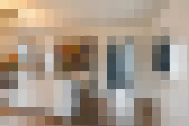 Hoge Geest 47 Naaldwijk thumbnail 4