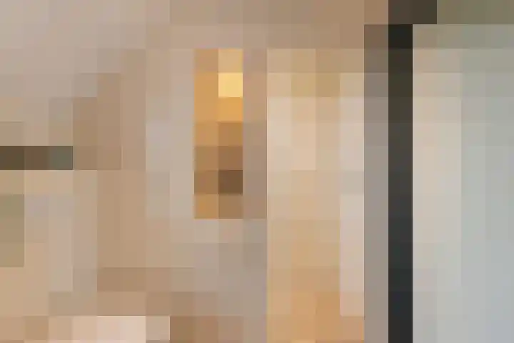 Hoge Geest 47 Naaldwijk thumbnail 40