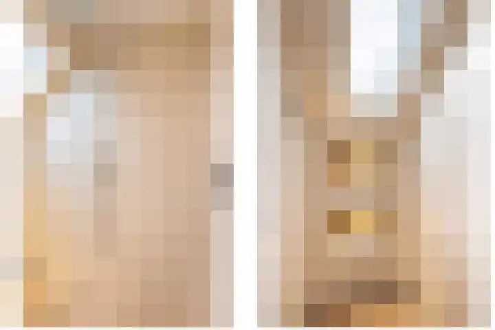 Hoge Geest 47 Naaldwijk thumbnail 41