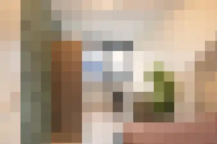 Hoge Geest 47 Naaldwijk thumbnail 42