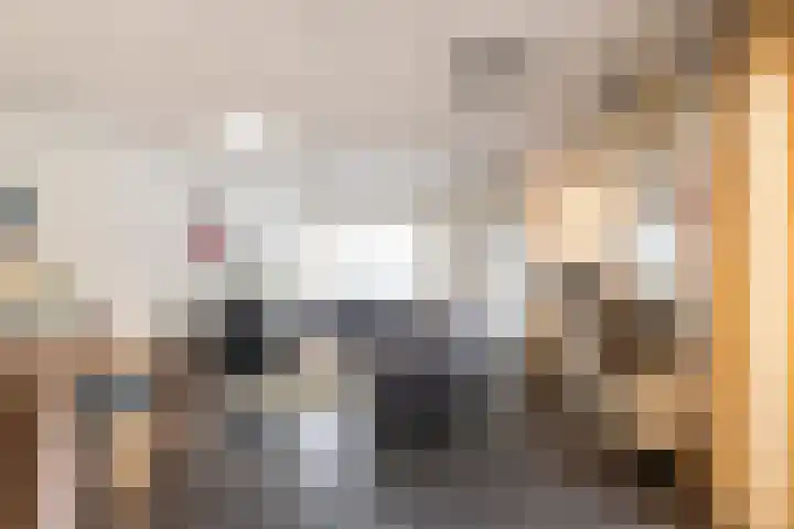 Hoge Geest 47 Naaldwijk thumbnail 48