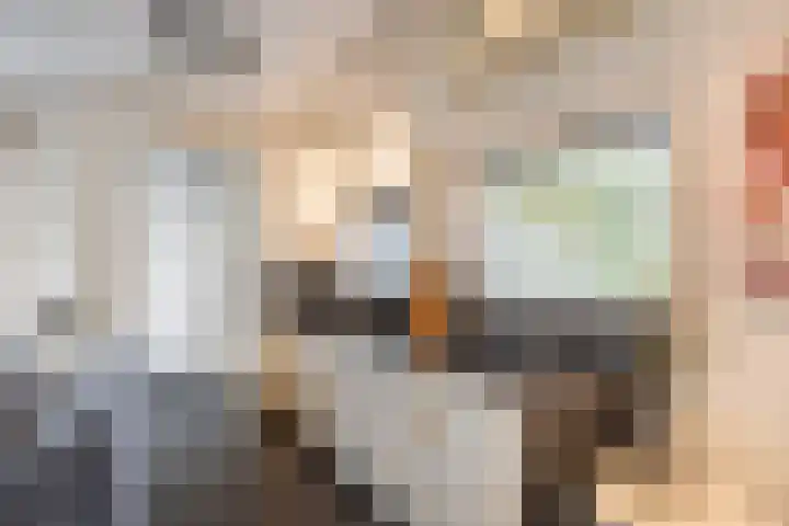 Hoge Geest 47 Naaldwijk thumbnail 49