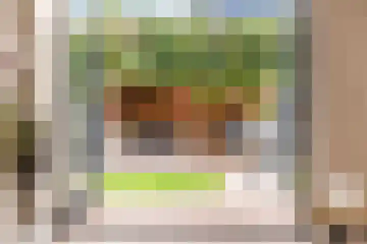 Hoge Geest 47 Naaldwijk thumbnail 9