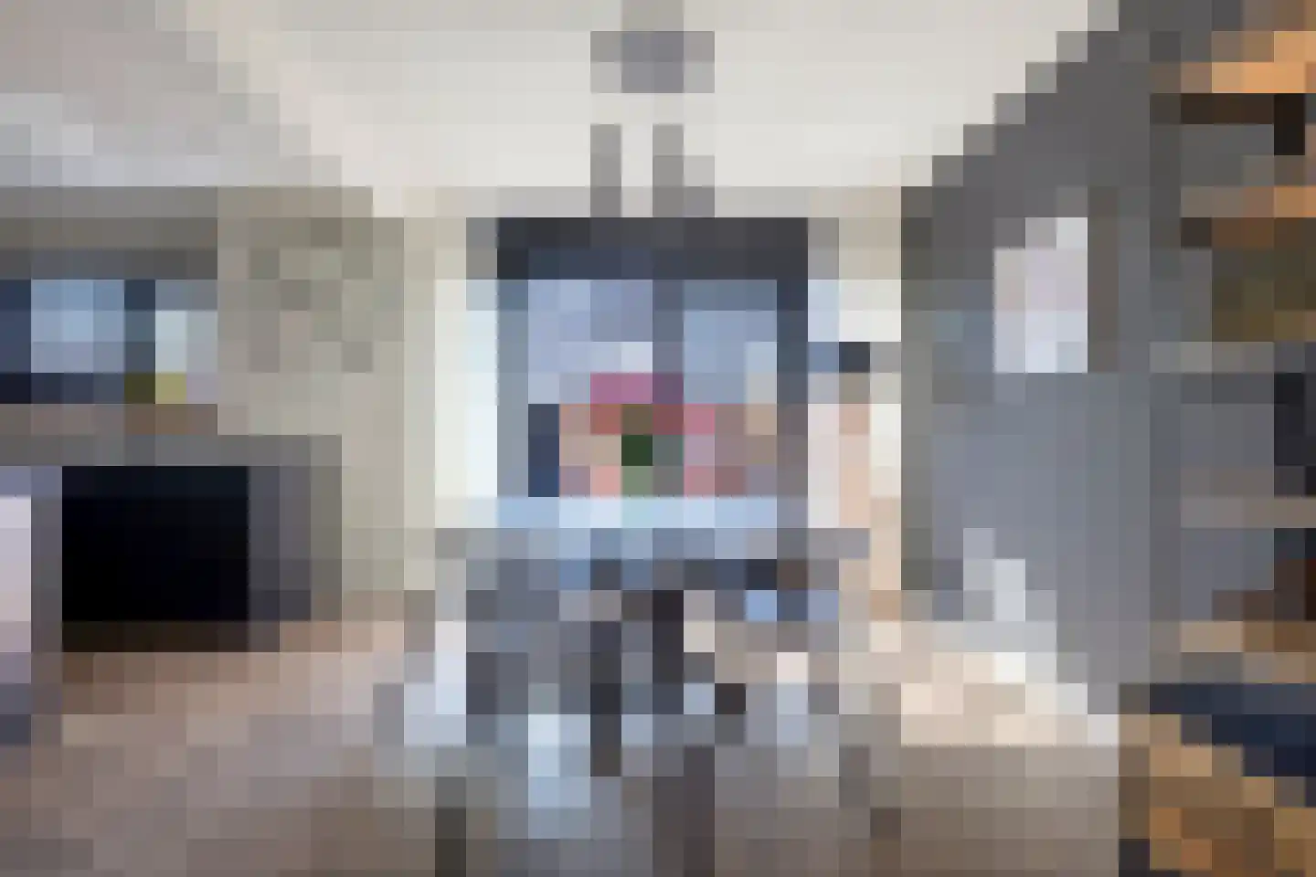 Hoge Gest 15 Den Oever thumbnail 11