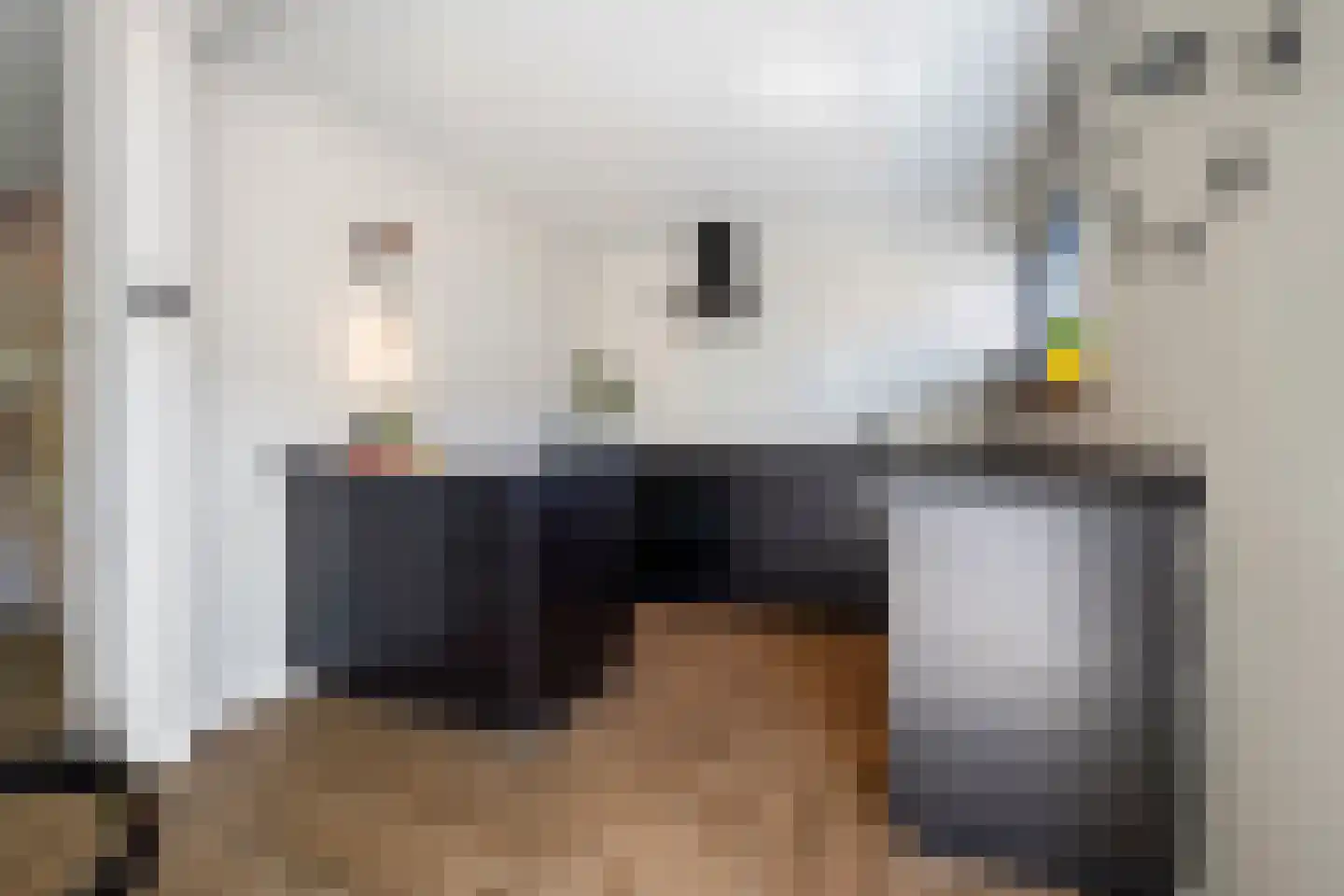 Hoge Gest 15 Den Oever thumbnail 12