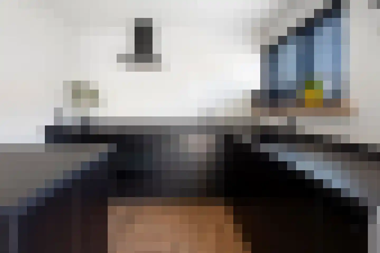 Hoge Gest 15 Den Oever thumbnail 13