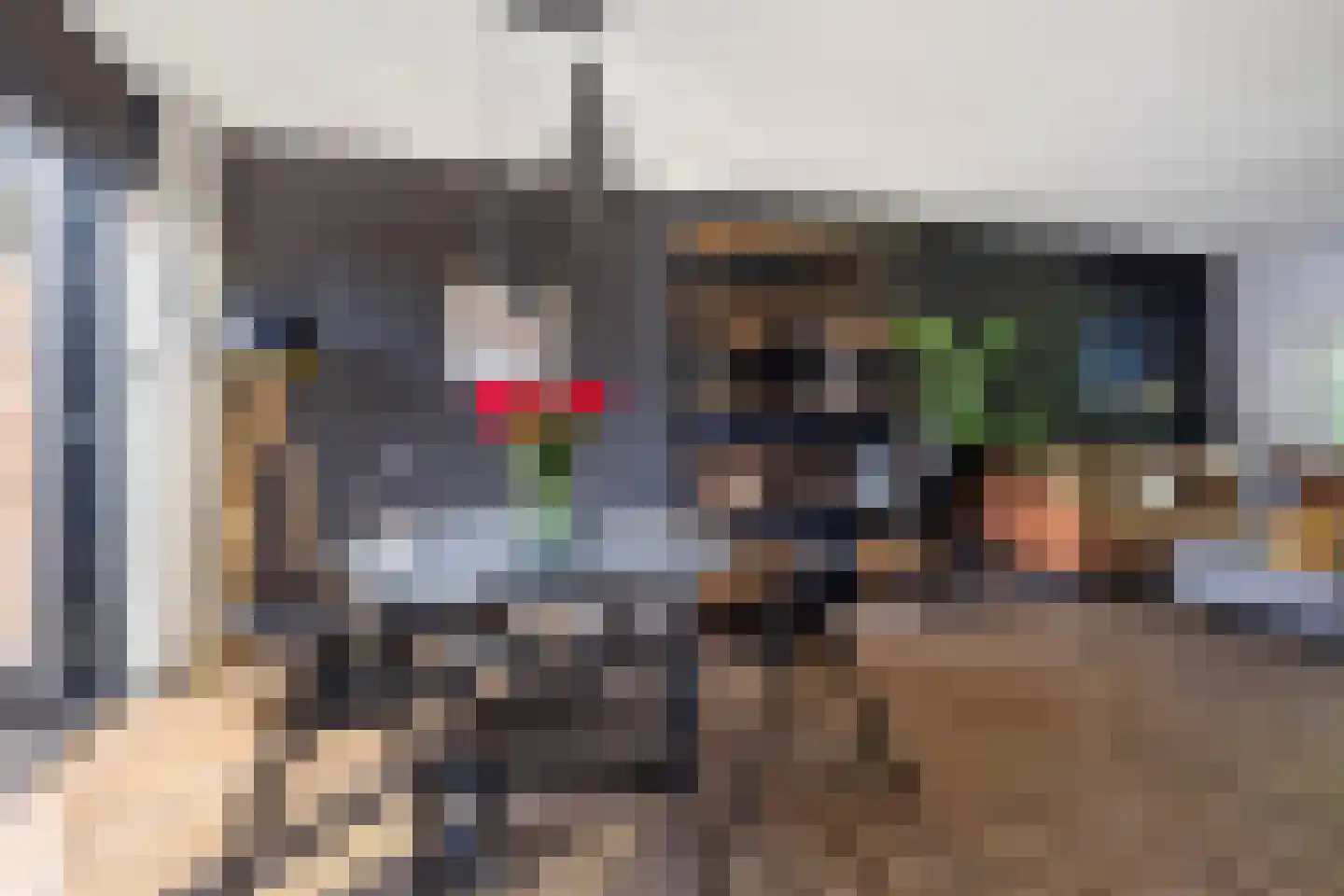 Hoge Gest 15 Den Oever thumbnail 15