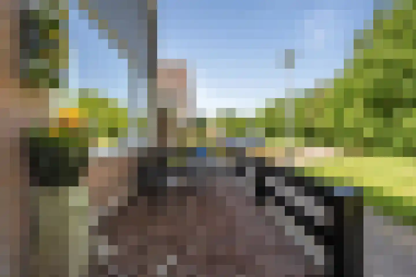 Hoge Gest 15 Den Oever foto 3