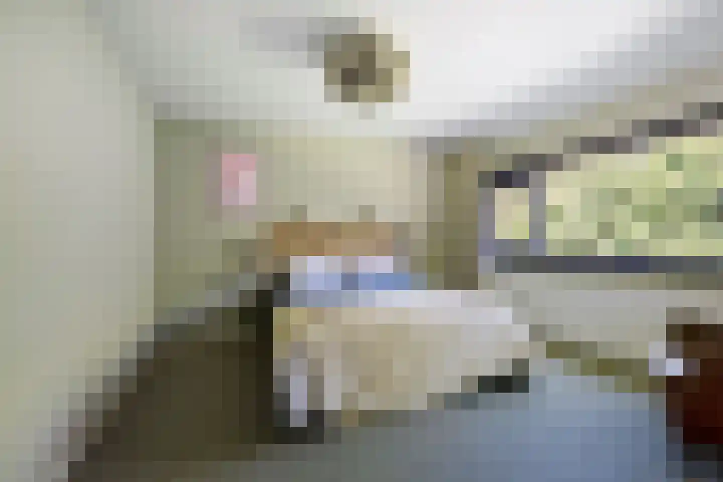 Hoge Gest 15 Den Oever thumbnail 30