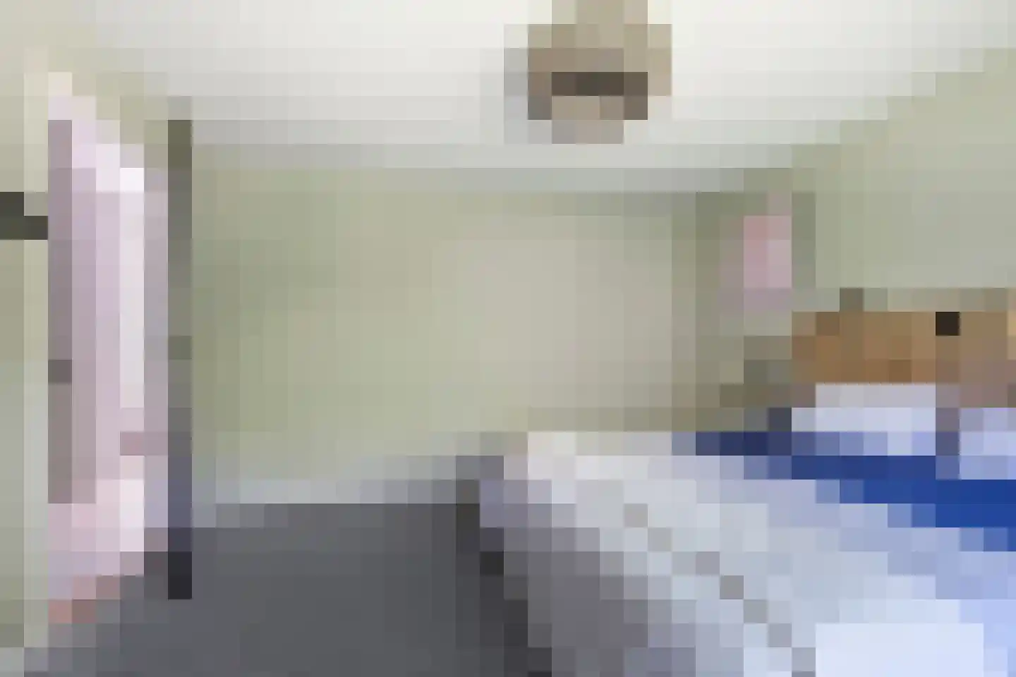 Hoge Gest 15 Den Oever thumbnail 32