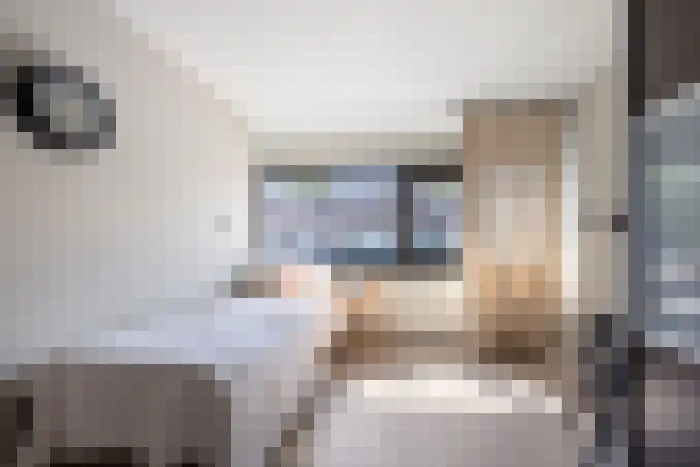 Hoge Gest 15 Den Oever thumbnail 34