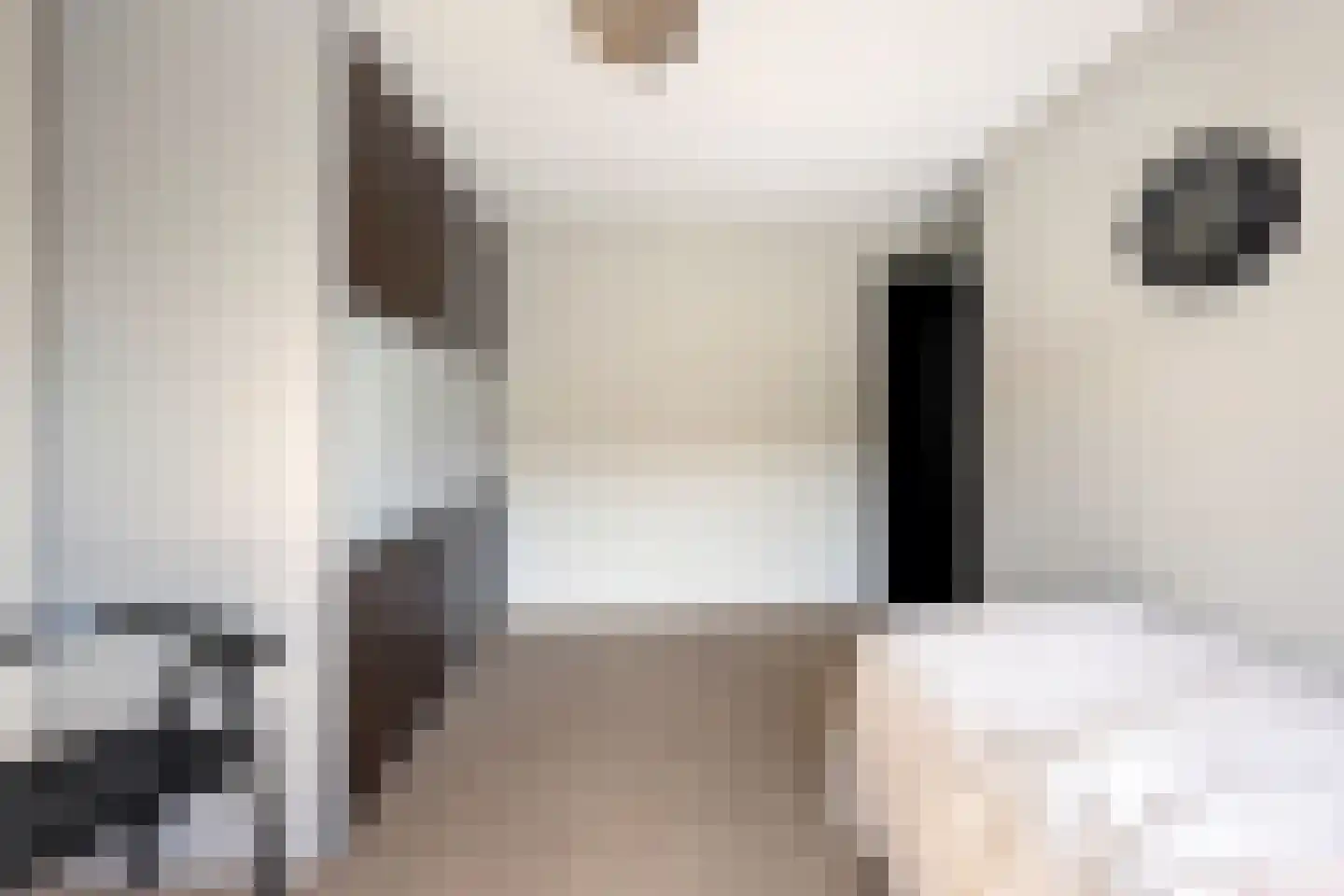 Hoge Gest 15 Den Oever thumbnail 35