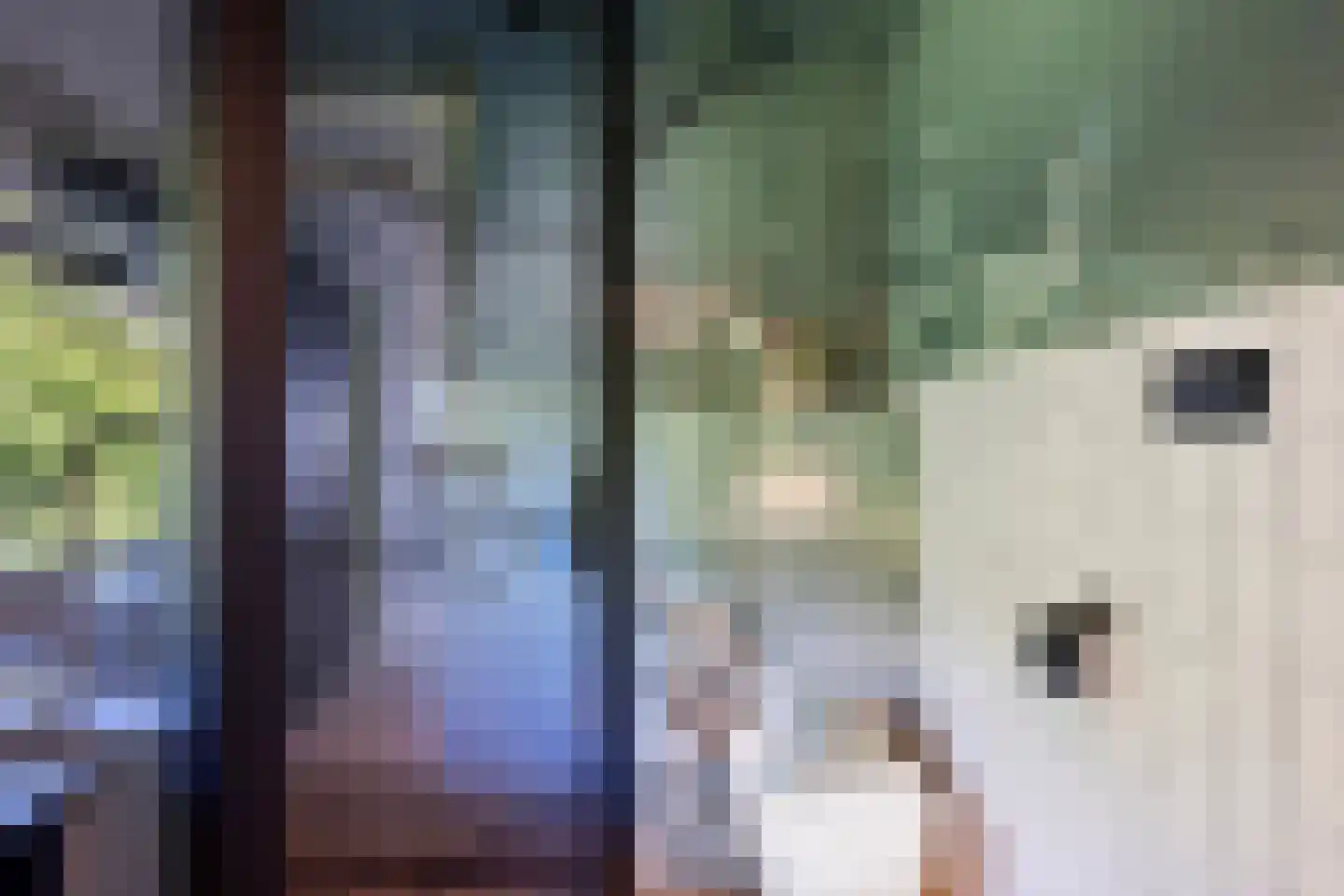 Hoge Gest 15 Den Oever thumbnail 38