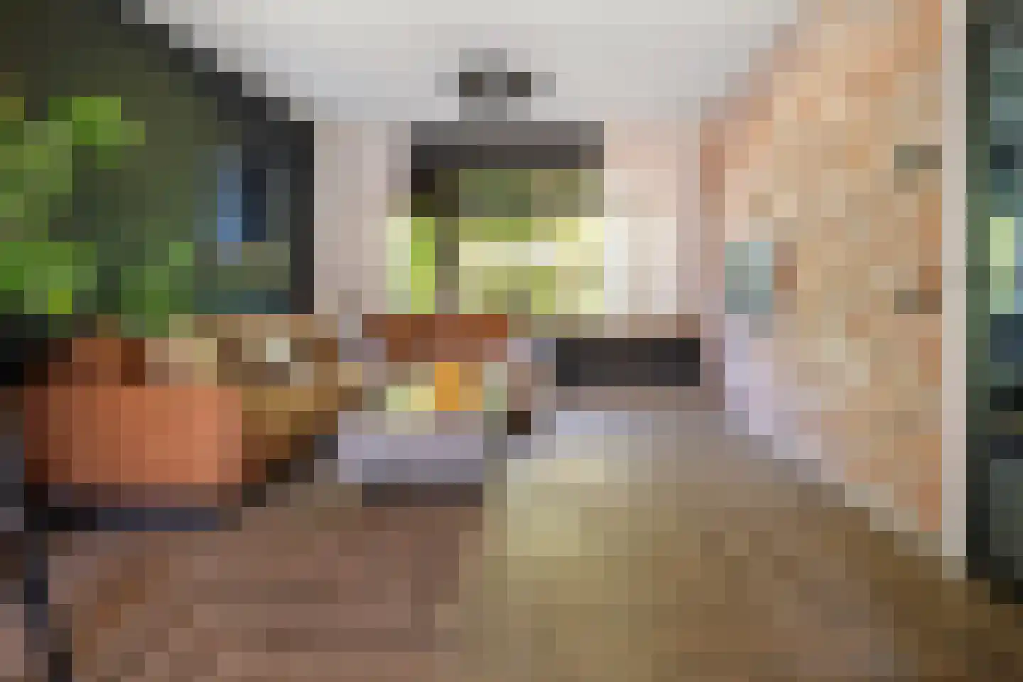 Hoge Gest 15 Den Oever thumbnail 7