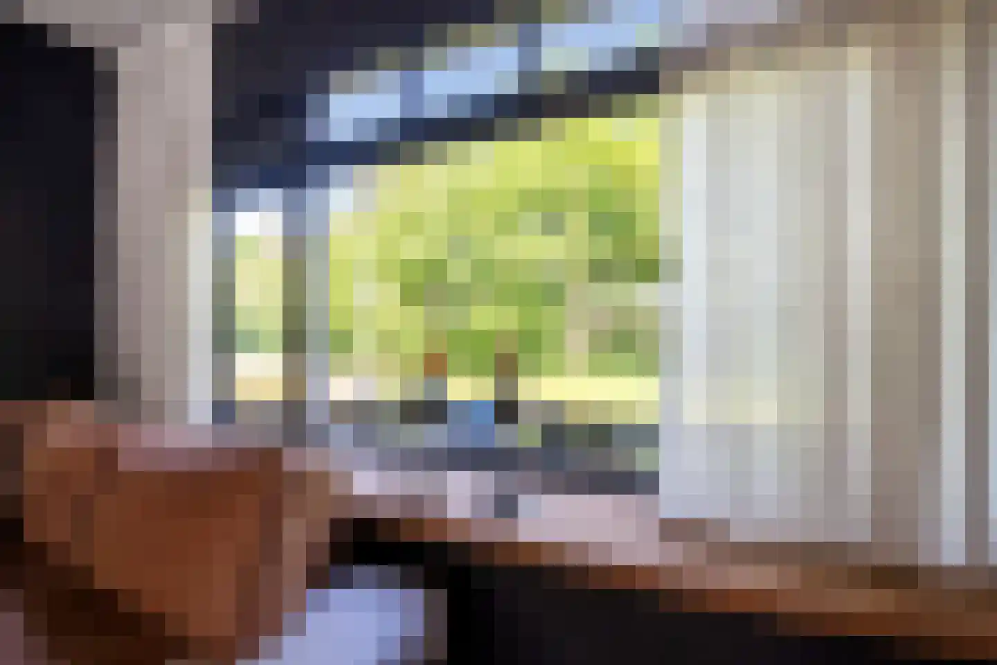 Hoge Gest 15 Den Oever thumbnail 8