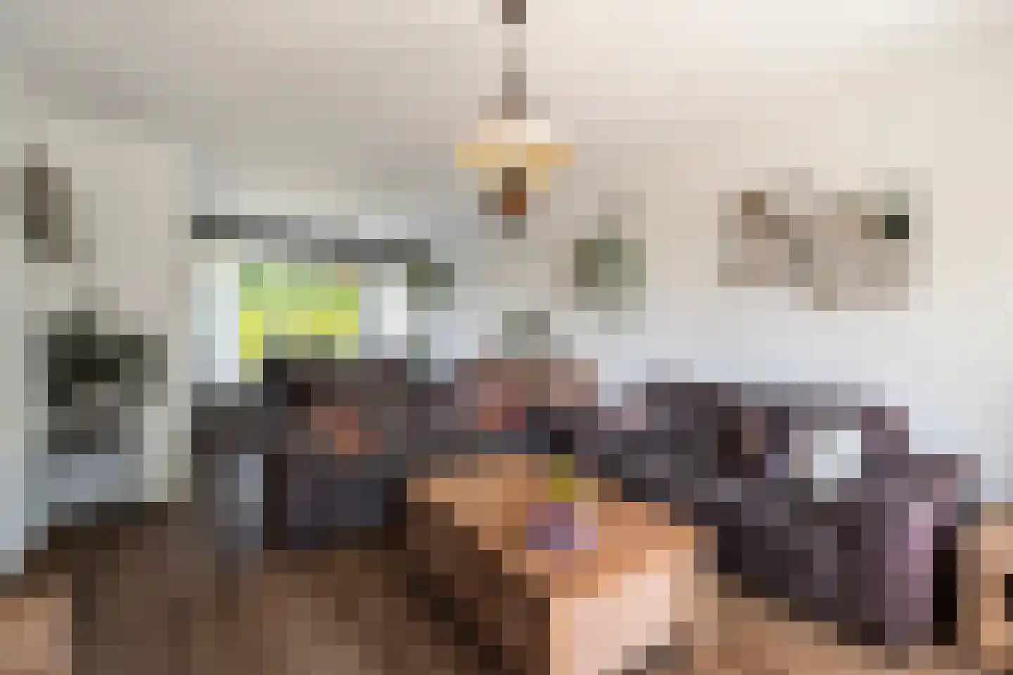 Hoge Gest 18 Den Oever foto 2