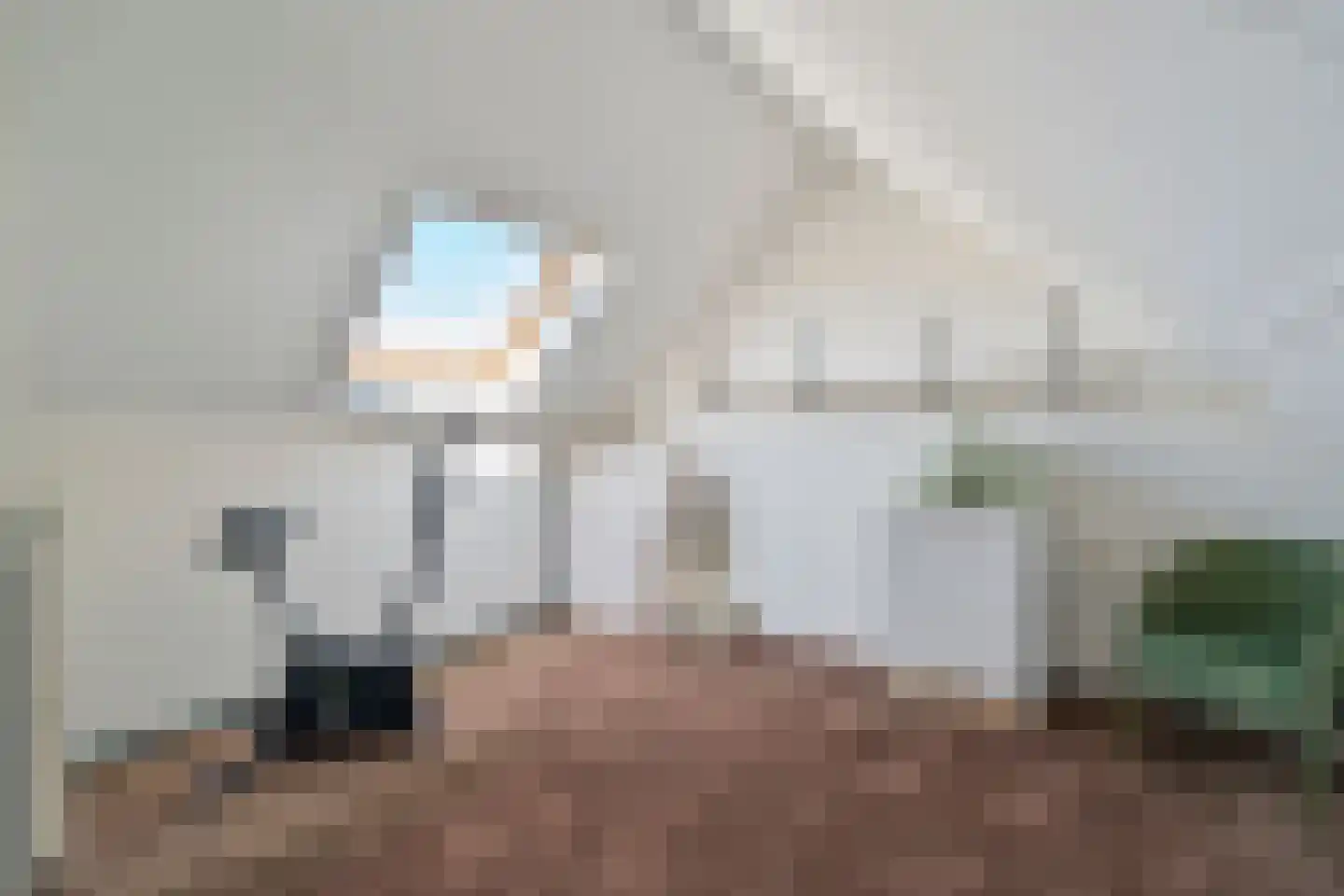 Hoge Gest 18 Den Oever thumbnail 22
