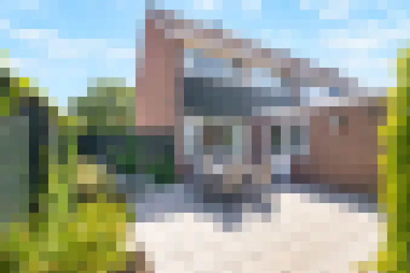 Hoge Gest 18 Den Oever thumbnail 25