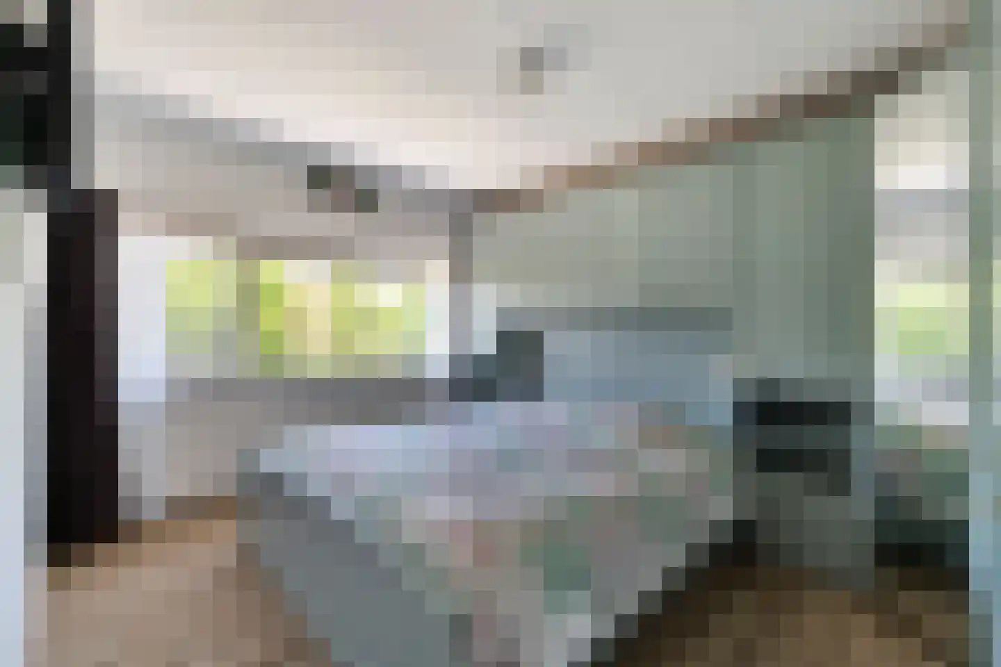 Hoge Gest 18 Den Oever foto 3