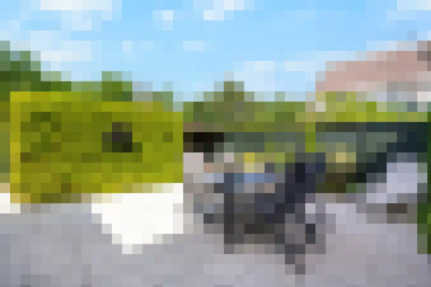 Hoge Gest 18 Den Oever thumbnail 4